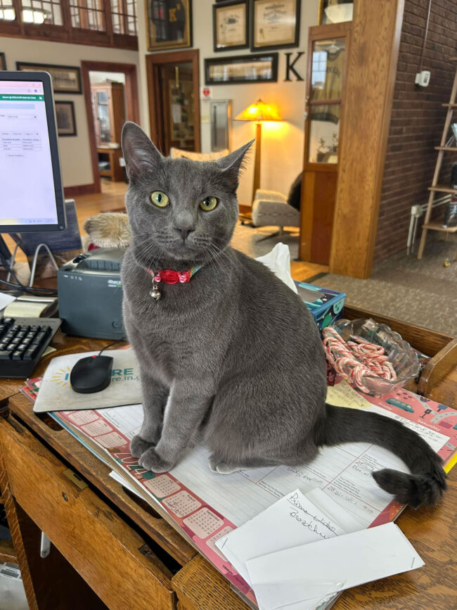 Kirlin Public Library, Indiana
