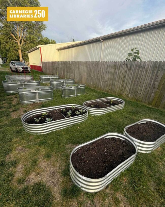 Titanium plant beds are arranged on grass, with soil and plants growing