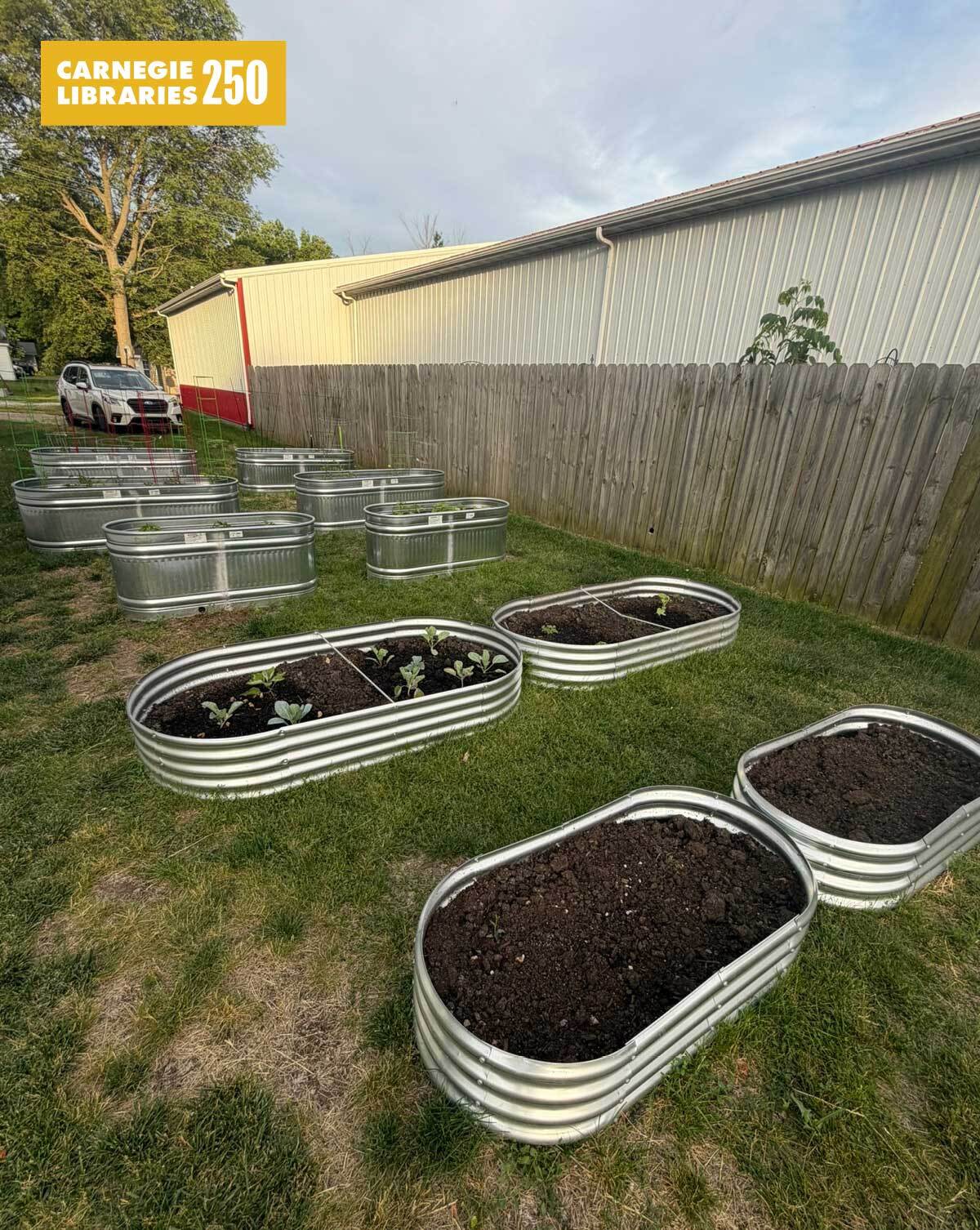 Titanium plant beds are arranged on grass, with soil and plants growing